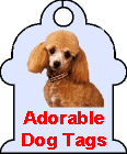 Personalized+dog+tags+for+pets